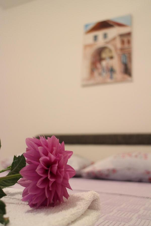 Apartman Anja トレビニエ エクステリア 写真