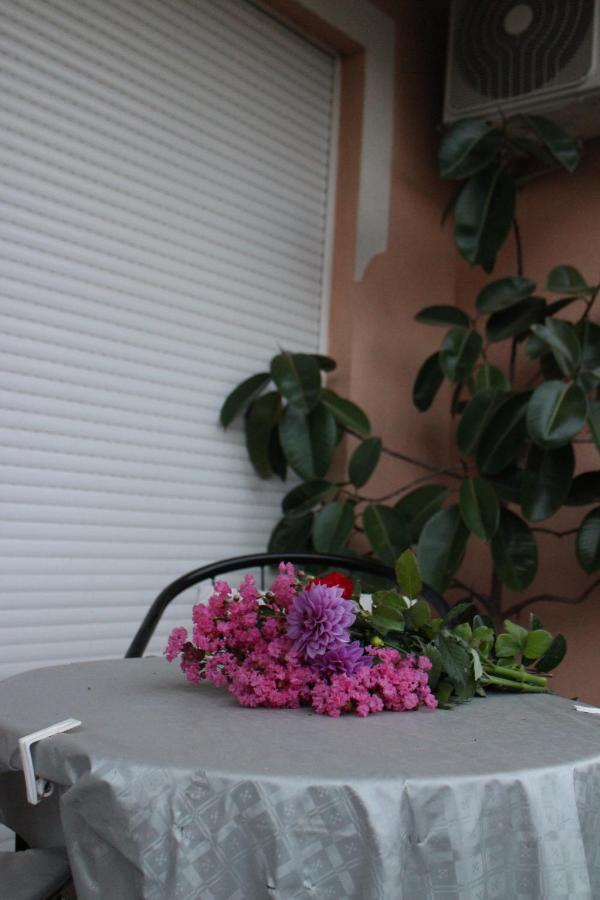 Apartman Anja トレビニエ エクステリア 写真